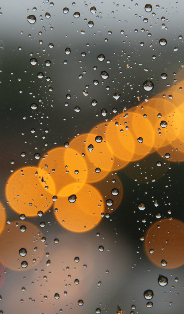 Блики на мокром окне