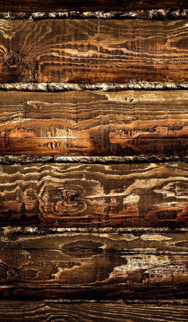 Pисунки дерева