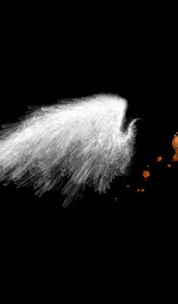 Белое крыло на черных обоях