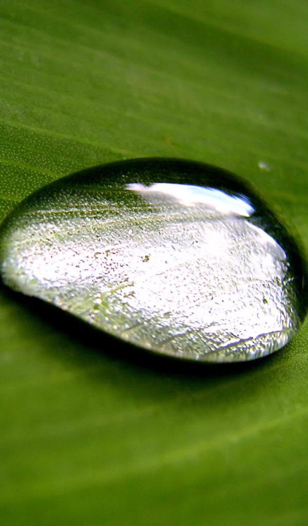 Большая капля