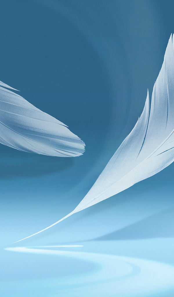 Голубой фон с перьями