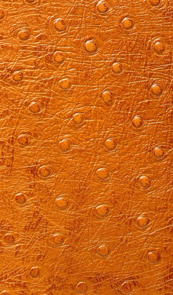 Кожа особой выделки