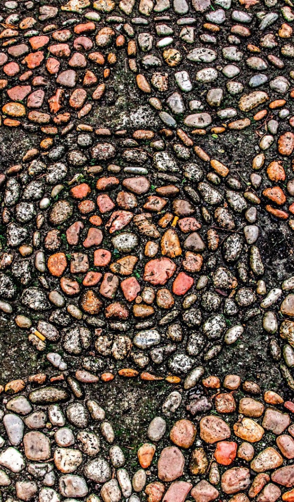 Узоры морского камня