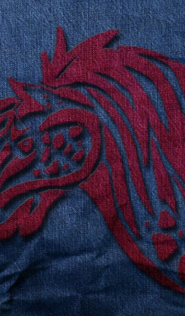 Известный бренд Levi`s