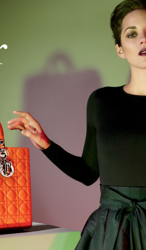 Модный бренд Dior