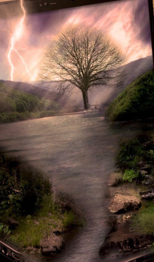 Ноутбук HP на природе