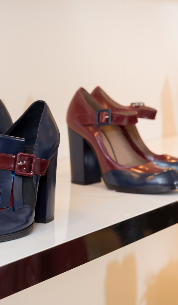 Обувь от модного бренда Baldinini