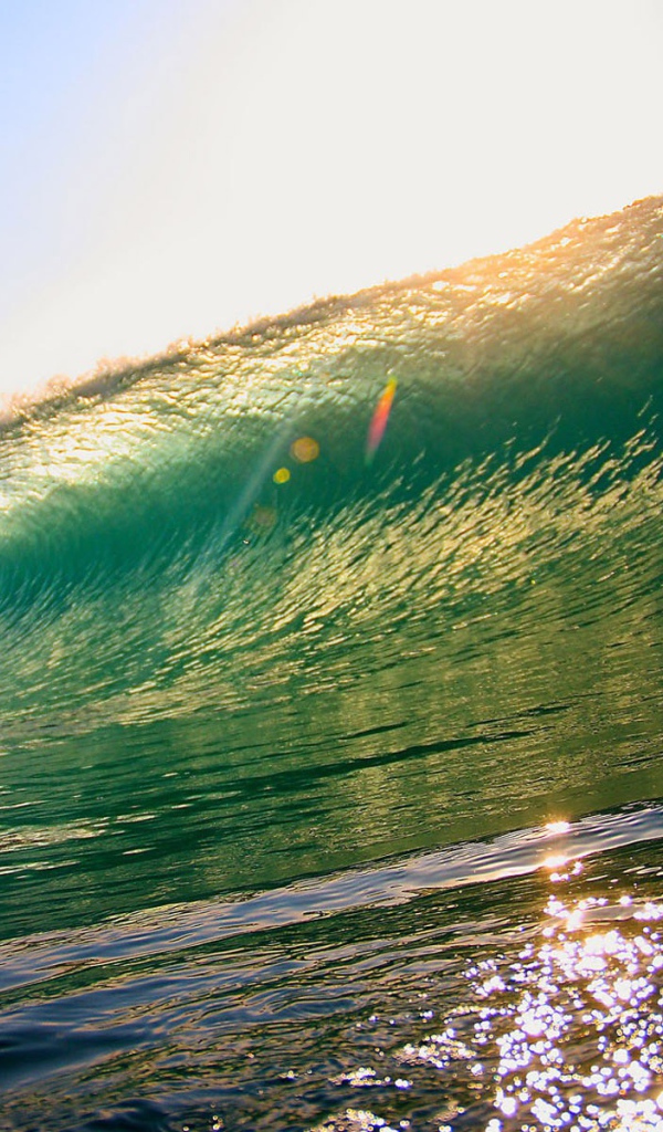 Серфинг на зеленой волне