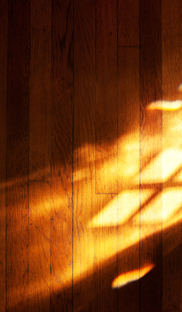 Игра света с символом Windows