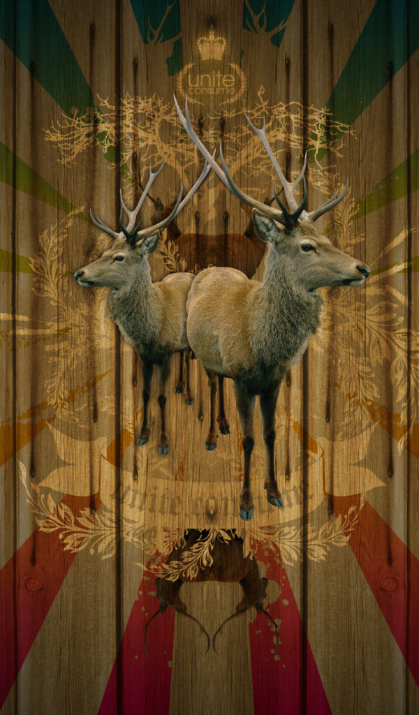 Объединение потребителей