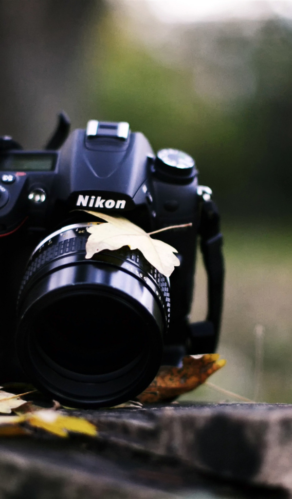 Никон на пне