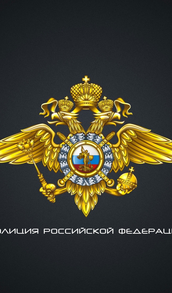 Полиция России