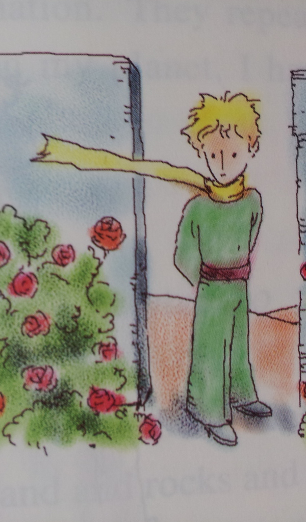 Книга о приключениях маленького принца