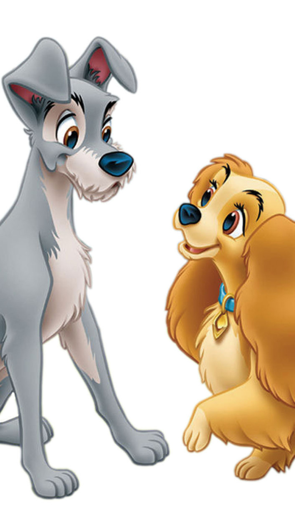 Леди и бродяга