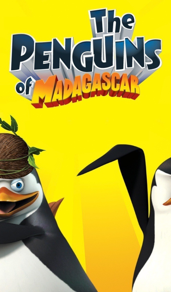 Пингвины на Мадагаскаре