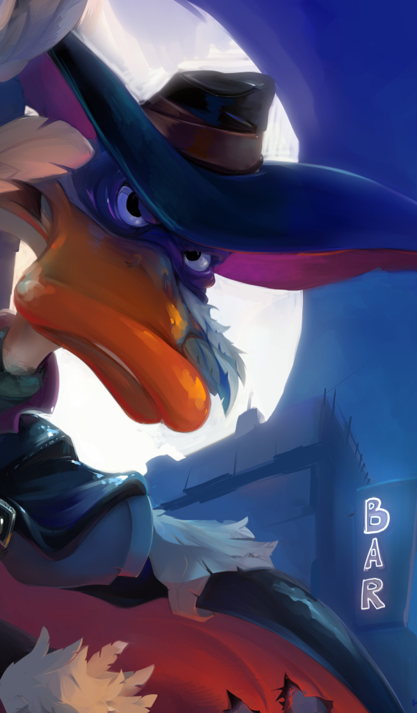 Утка черный плащ