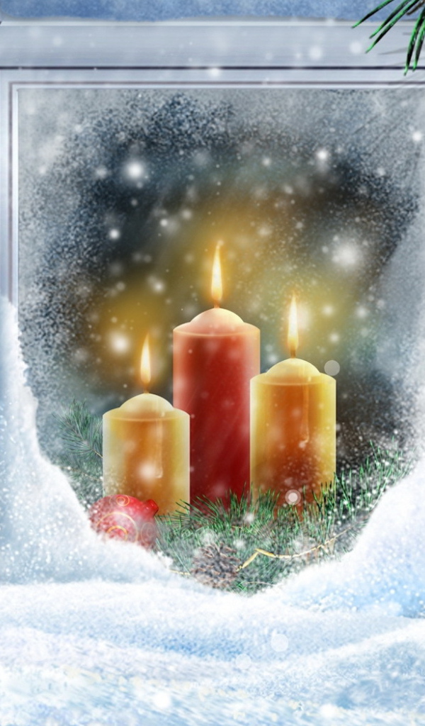 Птицы на окне в Рождество