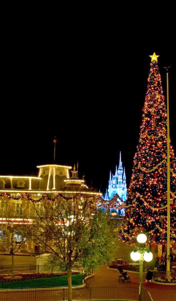 Рождество в Диснейленде