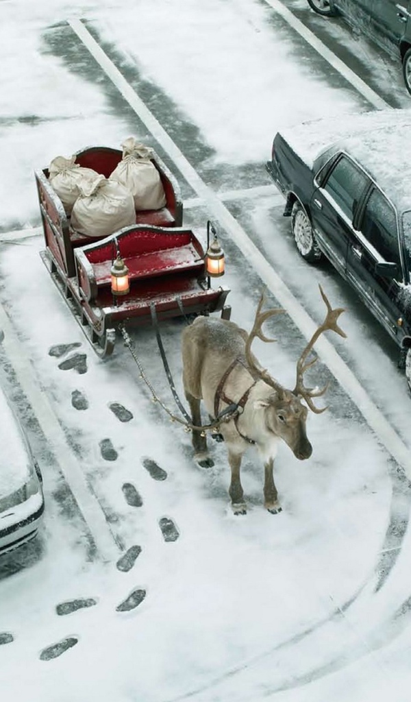 Рождественский транспорт
