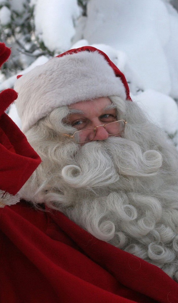 Дед Мороз на Новый год