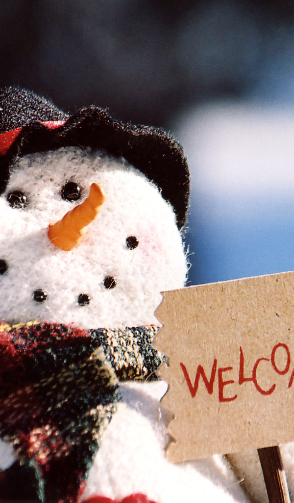 Добро пожаловать на рождество