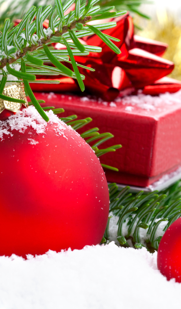 Ветки елки и красные шары