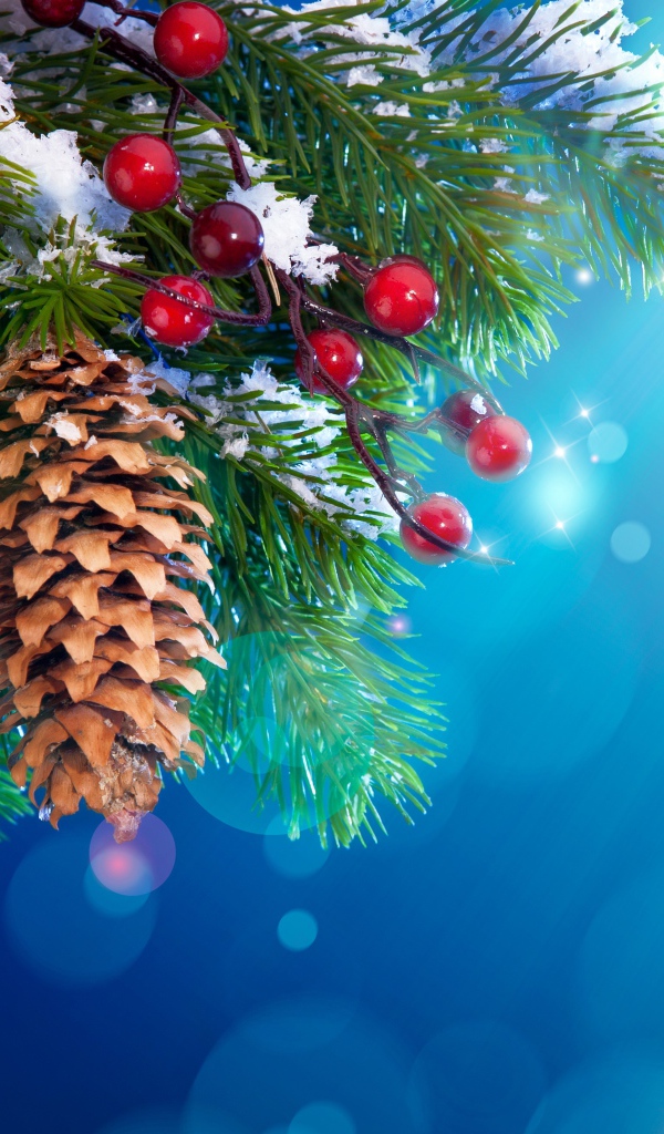 Еловые шишки и красные ягоды