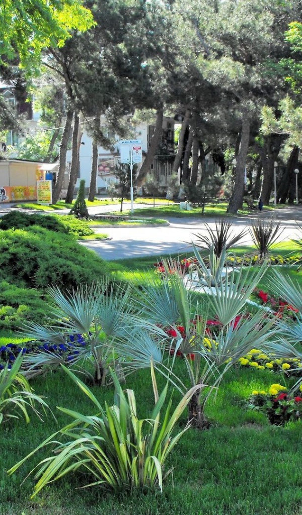 Клумба в городе