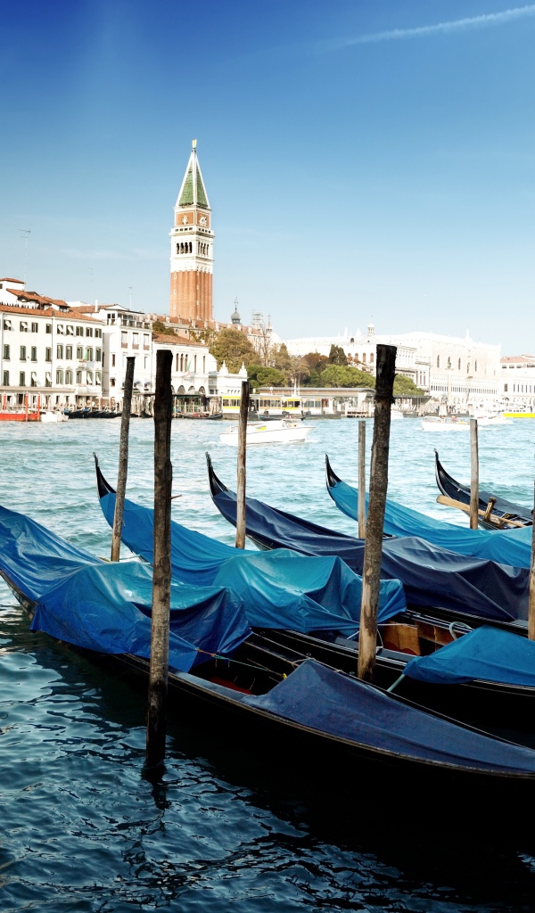 Гандолы в Венеции
