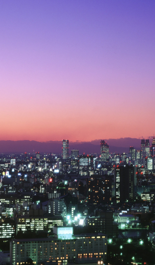 Панорама города Токио