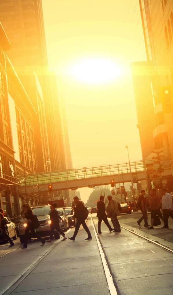 Улица города Торонто