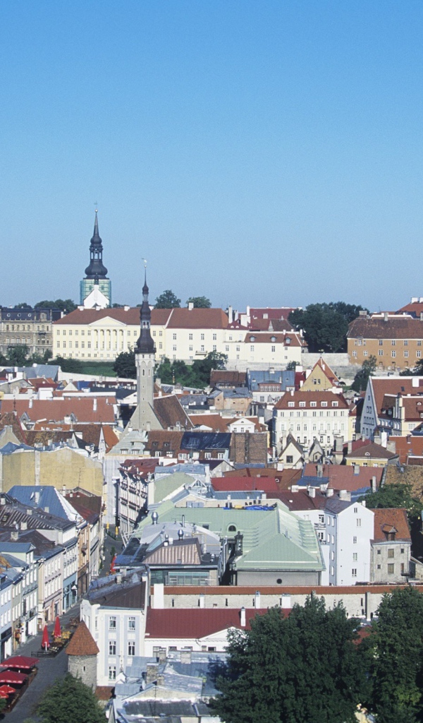 Город Таллин Эстония