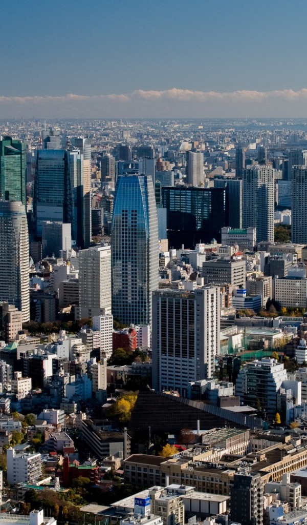 Город Токио Япония