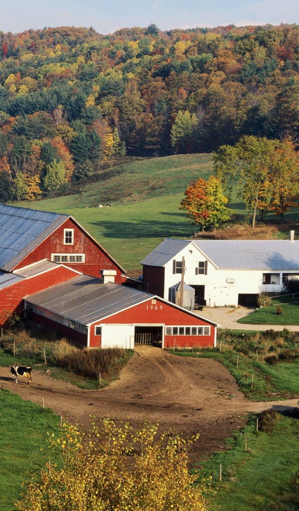 Усадьба фермера