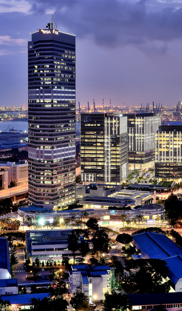 Огни города Сингапур