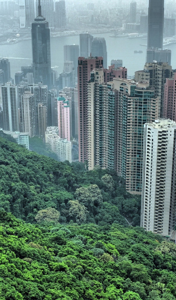 Китайский горд Хонг Конг