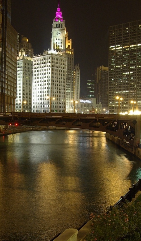 Мост через реку в городе