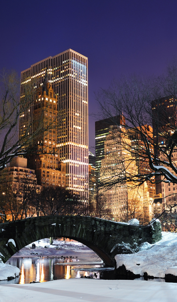 Центральный парк Нью Йорка