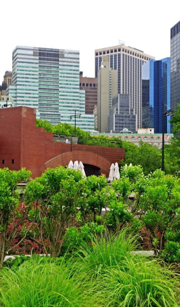	   Green area in new York