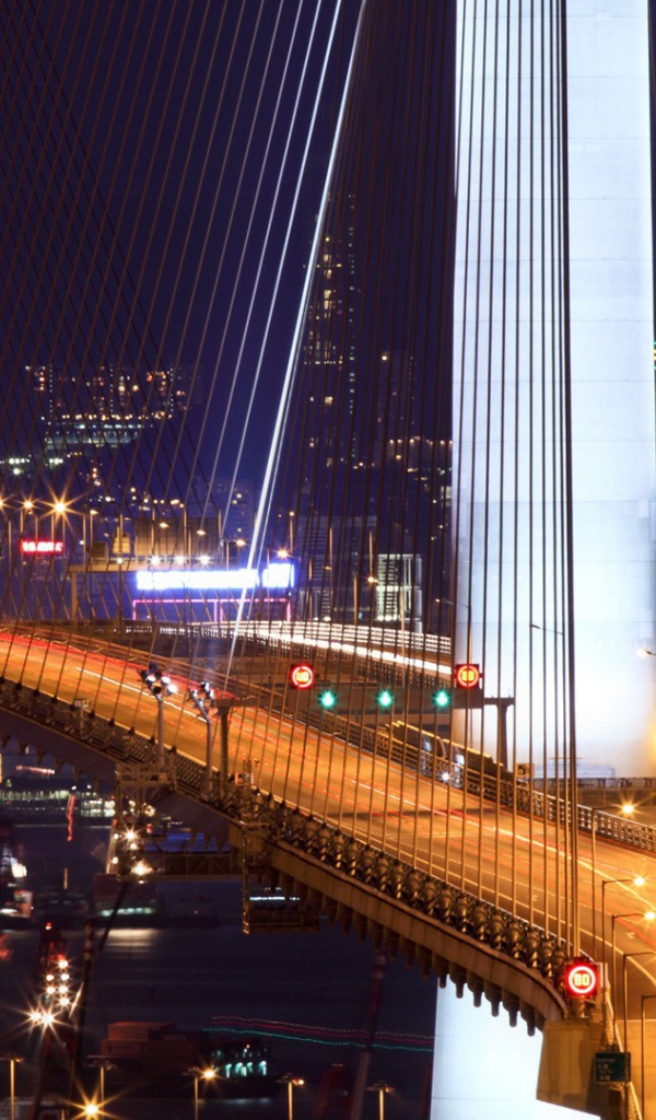 Подвесной мост