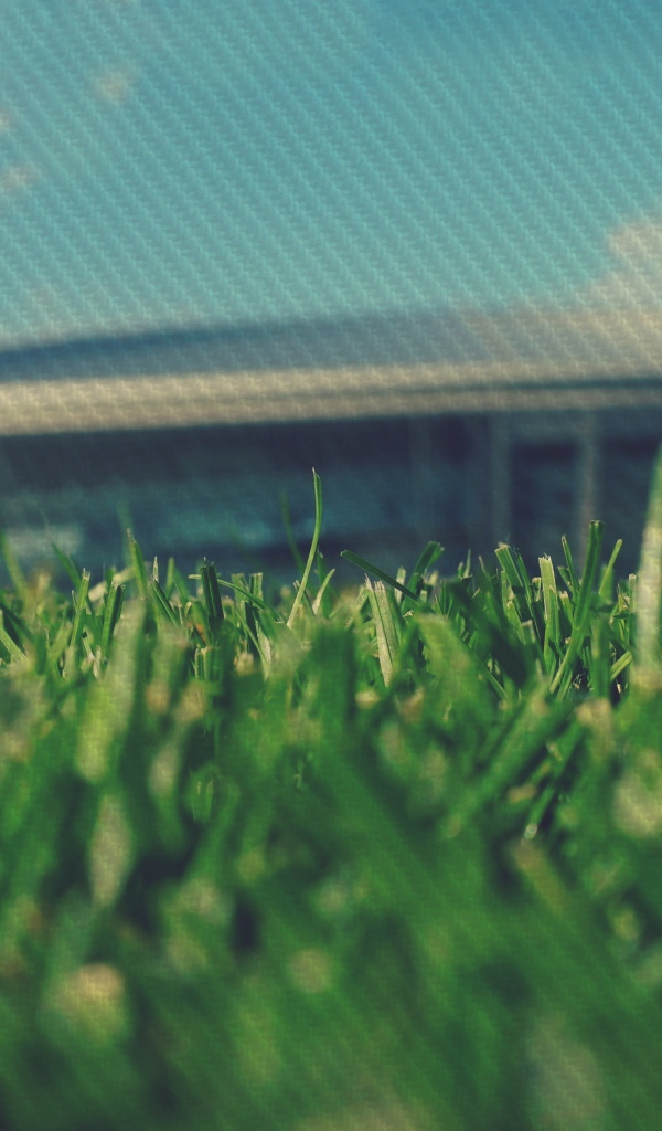 Стадион в Донецке