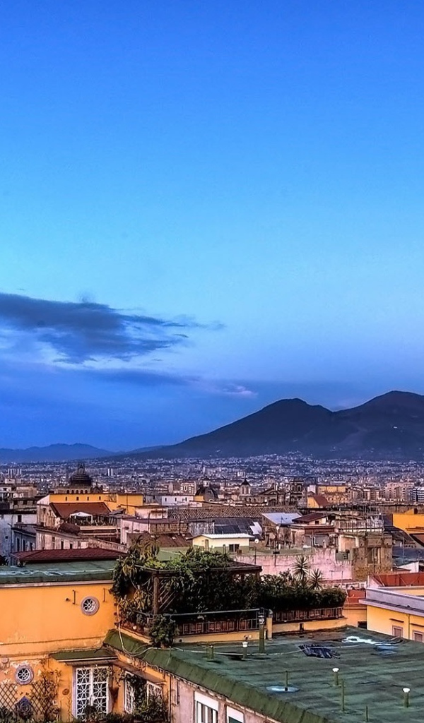 Городской пейзаж с крепостью