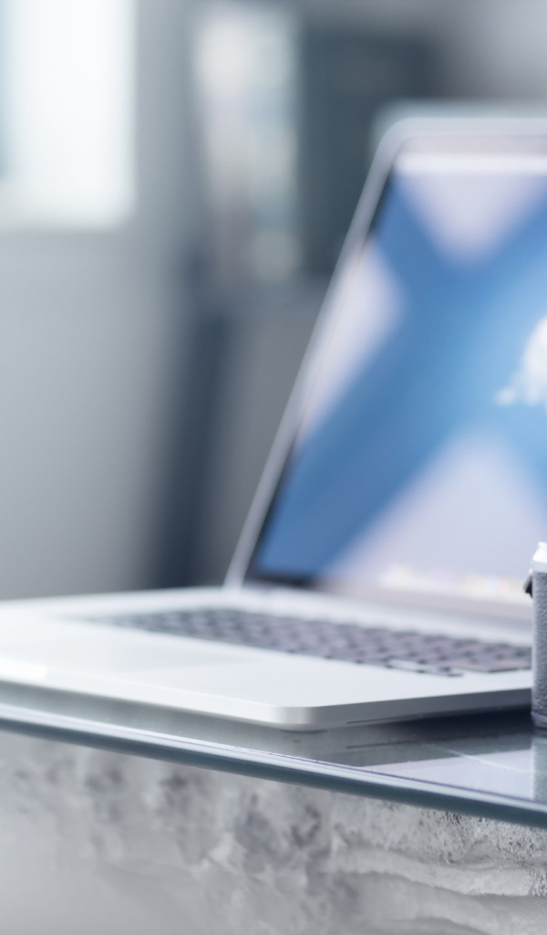 Современный ноутбук и ретро фотоаппарат