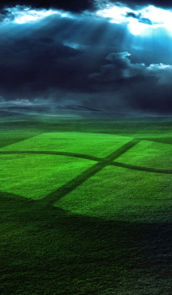 Знак Windows на поле