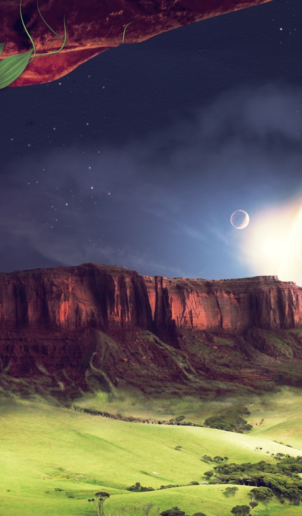 Окружающий мир