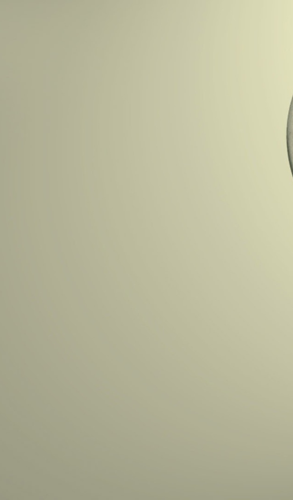 Яблоки в лампе