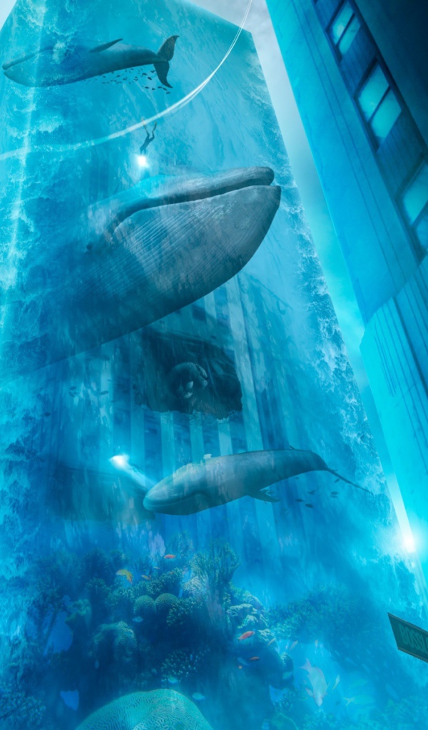 Водный город