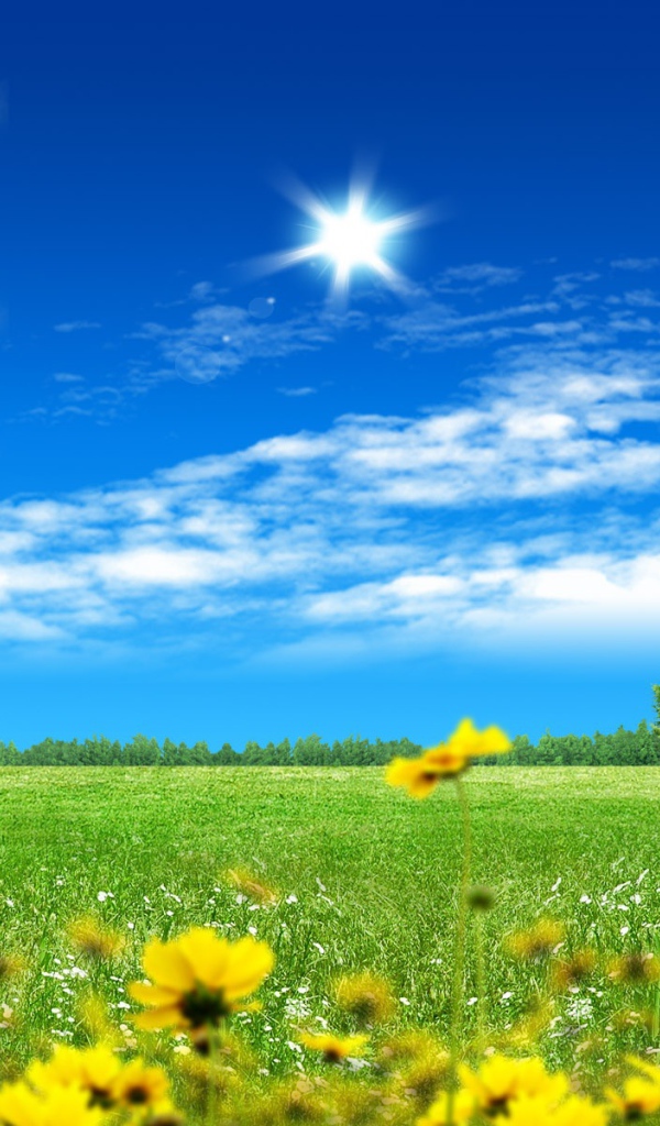 Прекрасный фантазийный мир