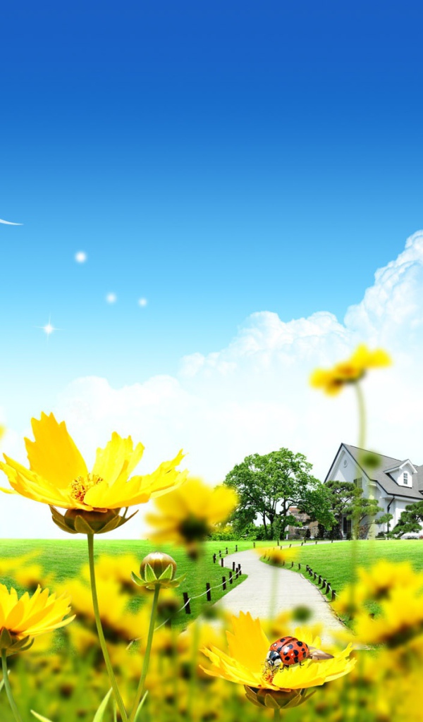 Дом прекрасных цветов