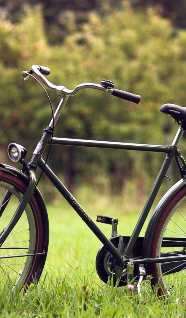 Велосипед на траве